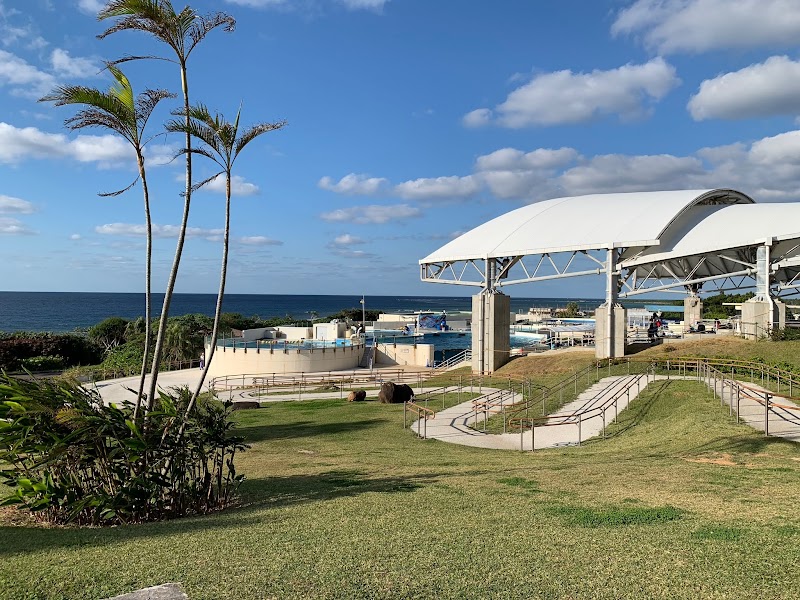 海洋博公園内
