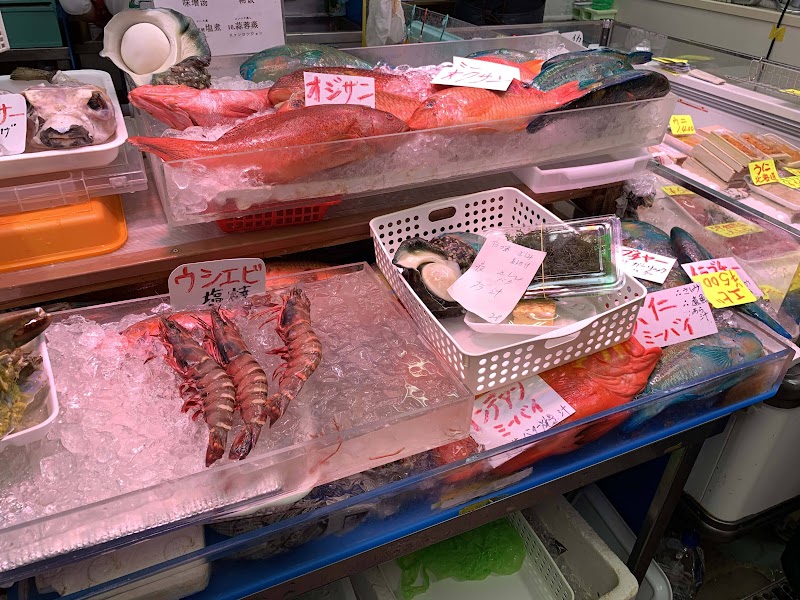 鮮やかな魚が並ぶ